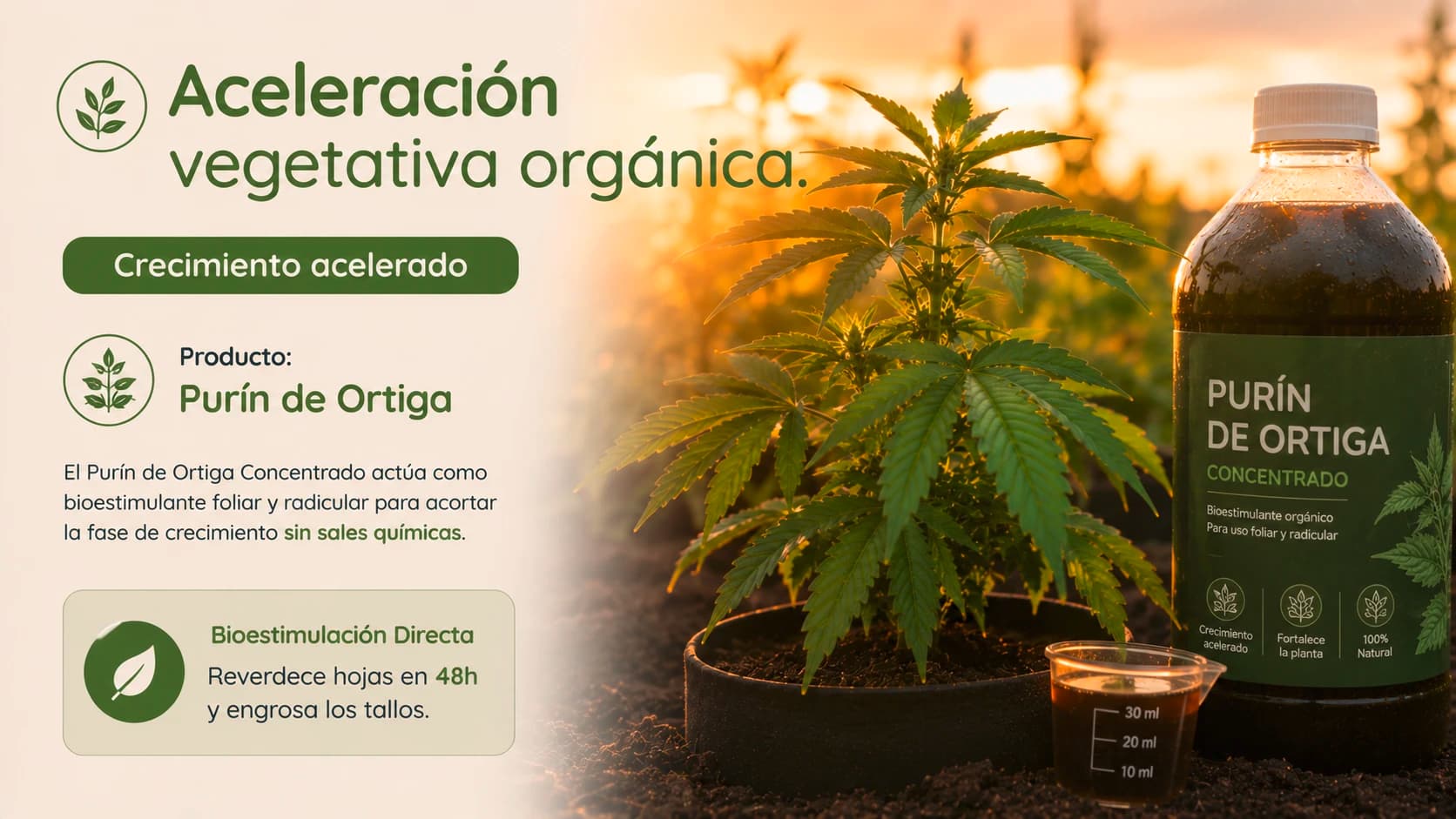 Crecimiento acelerado